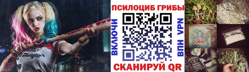 Псилоцибиновые грибы Magic Shrooms  хочу наркоту  Елабуга 