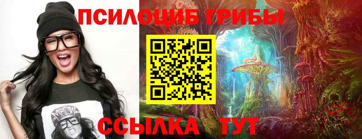 Псилоцибиновые грибы Psilocybe Елабуга