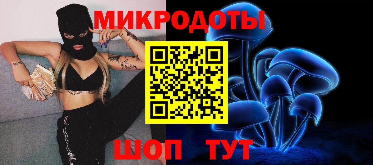 Галлюциногенные грибы Psilocybe  Елабуга 